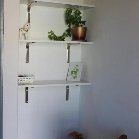 Milkovic Apartment
